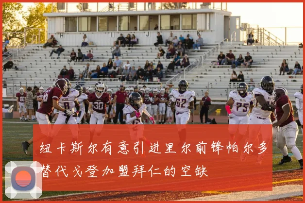 纽卡斯尔有意引进里尔前锋帕尔多替代戈登加盟拜仁的空缺